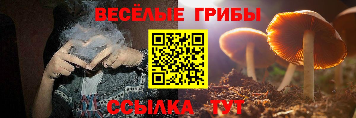 Псилоцибиновые грибы Cubensis Гурьевск