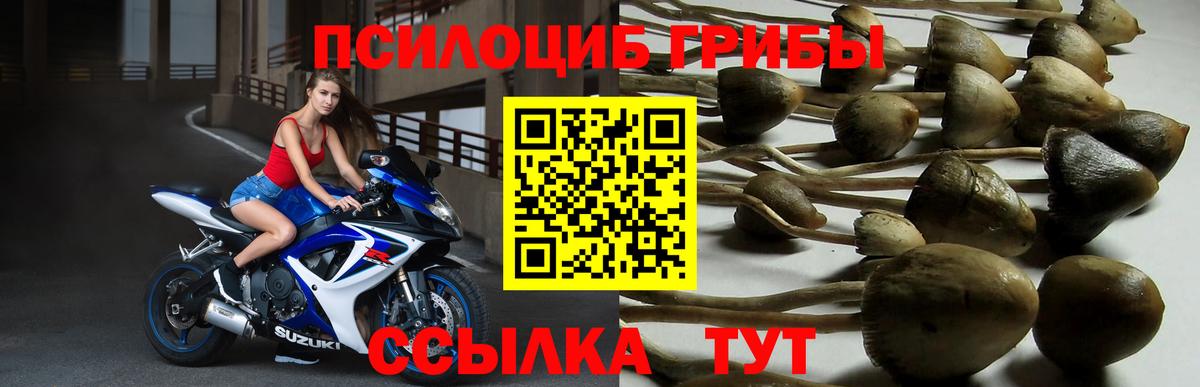 Галлюциногенные грибы ЛСД  Вход с VPN  Гурьевск 
